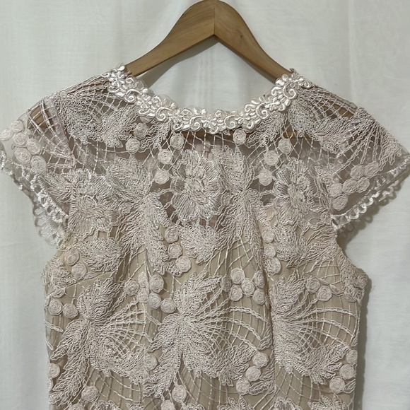 Soieblu Pink Lace Sleeveless Dress with Nude Underlay a175 - Picture 2 of 7